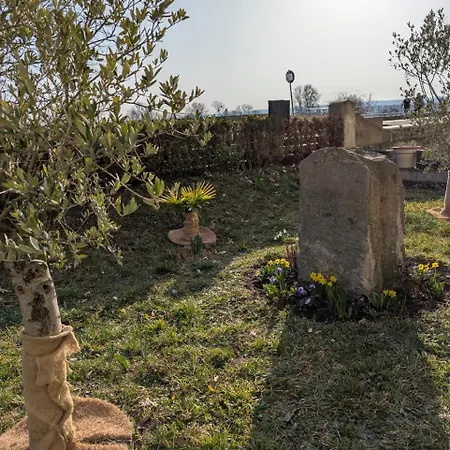 Ambiente-an-der-elbe-wohnung-eg * Dresden