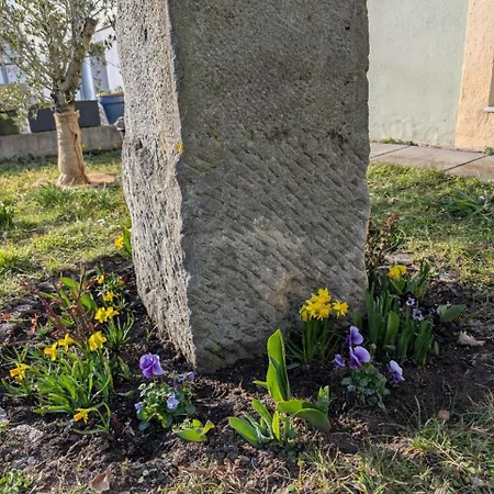 Ambiente-an-der-elbe-wohnung-eg Apartment *