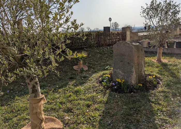 Ambiente-an-der-elbe-wohnung-eg * ドレスデン