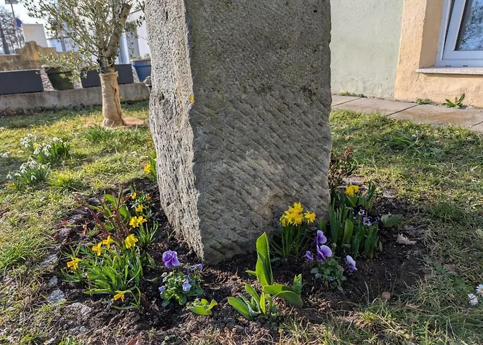 Ambiente-an-der-elbe-wohnung-eg Apartmán *